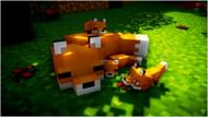 Foxes in Minecraft (Image via WallapaperAccess)